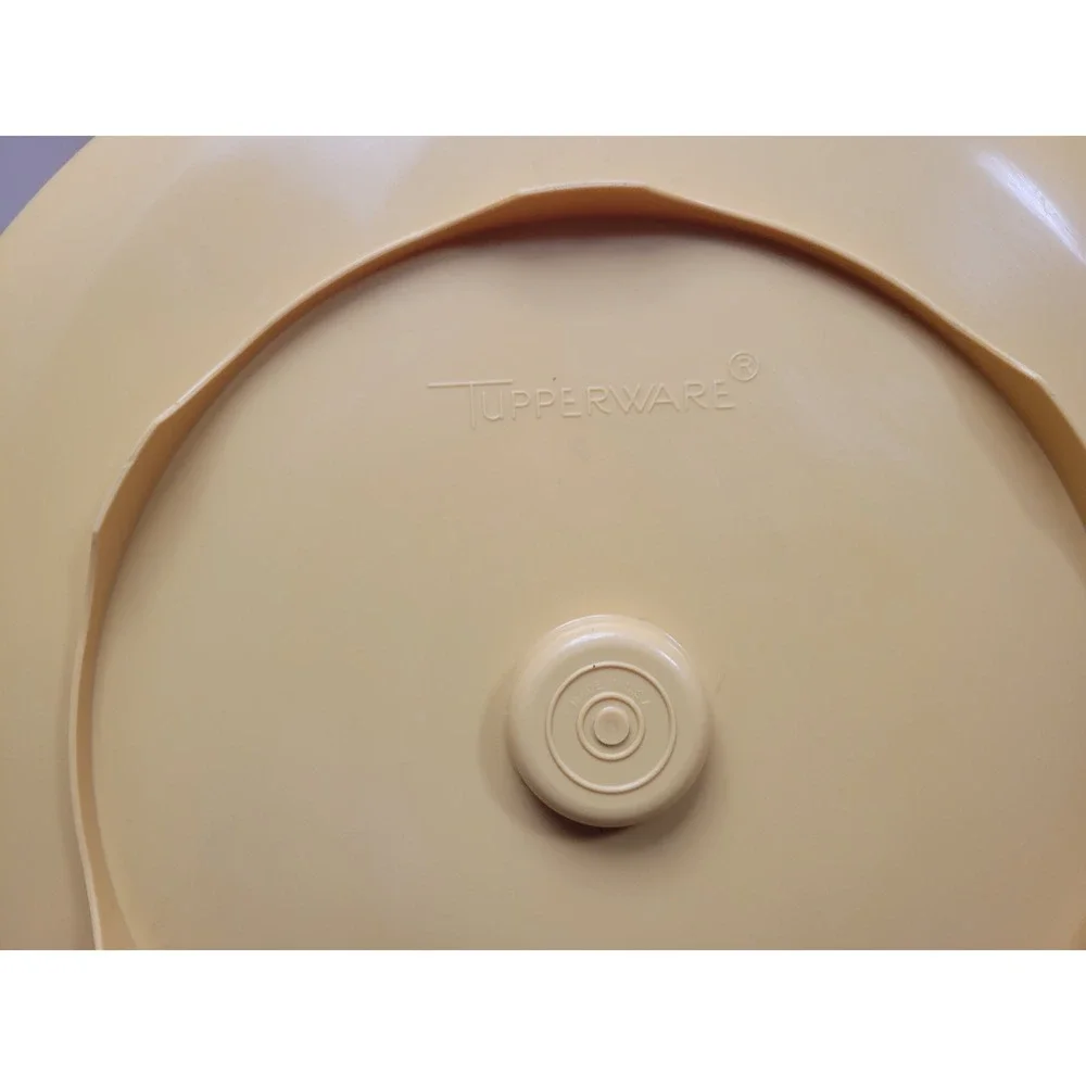 Vintage Tupperware Chip Dip-N-Serve Tray Round Vegetable Appetizer #492 Tan